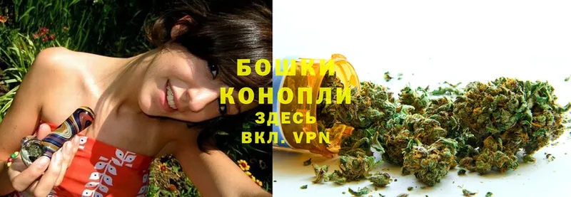 купить наркотики цена  Родники  Бошки марихуана White Widow 